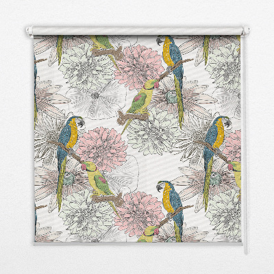 Roleta wewnętrzna na okno Rysowane papugi