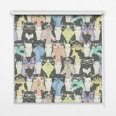 Roleta wewnętrzna na okno Koty w okularach