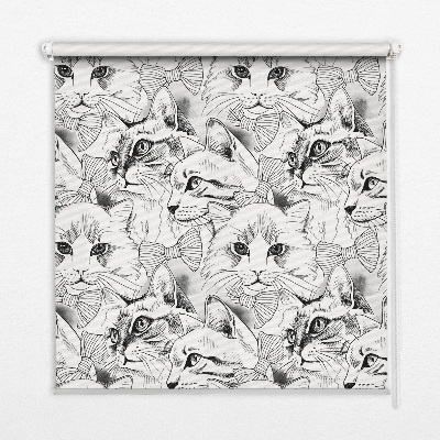 Roleta na okno Rysowane koty