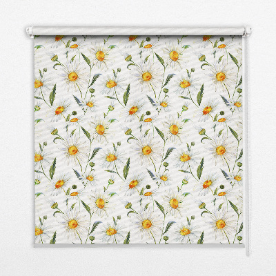 Roleta okienna wewnętrzna Stokrotki