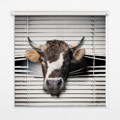 Roleta na okno Krowa