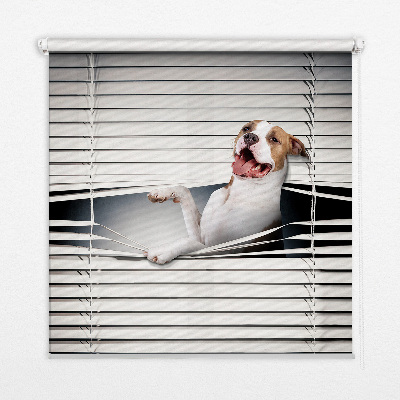 Roleta na okno Piesek