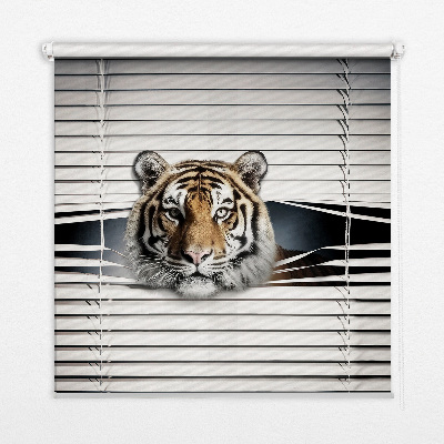 Roleta na okno Tygrys